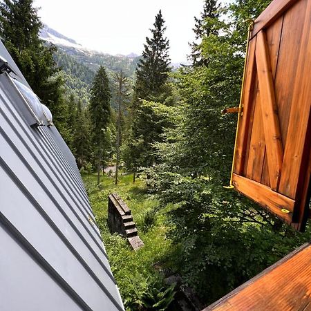 ~Chalet_Rifugio Tra I Boschi~ Sella Nevea Zewnętrze zdjęcie