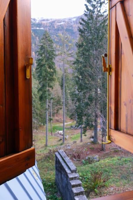 ~Chalet_Rifugio Tra I Boschi~ Sella Nevea Zewnętrze zdjęcie