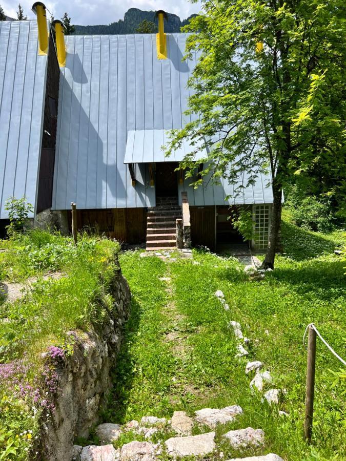 ~Chalet_Rifugio Tra I Boschi~ Sella Nevea Zewnętrze zdjęcie