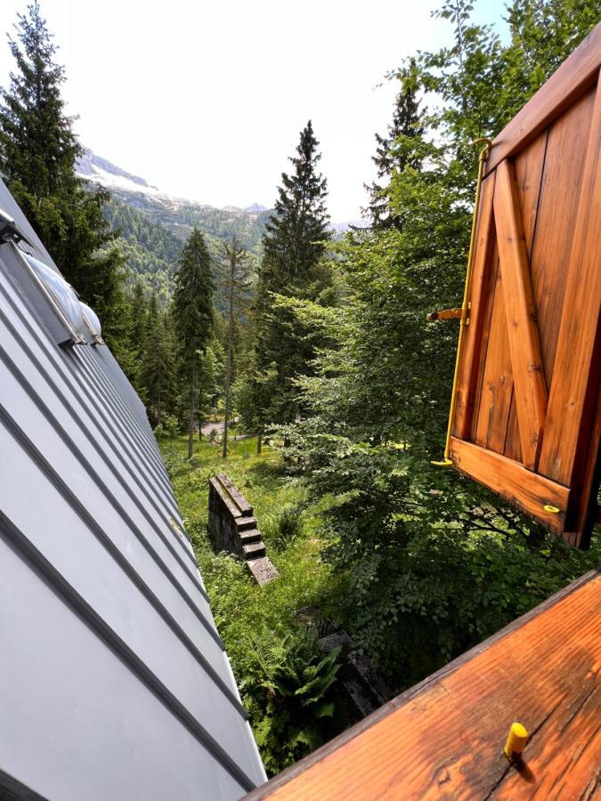 ~Chalet_Rifugio Tra I Boschi~ Sella Nevea Zewnętrze zdjęcie