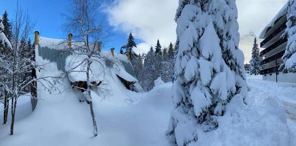 ~Chalet_Rifugio Tra I Boschi~ Sella Nevea Zewnętrze zdjęcie