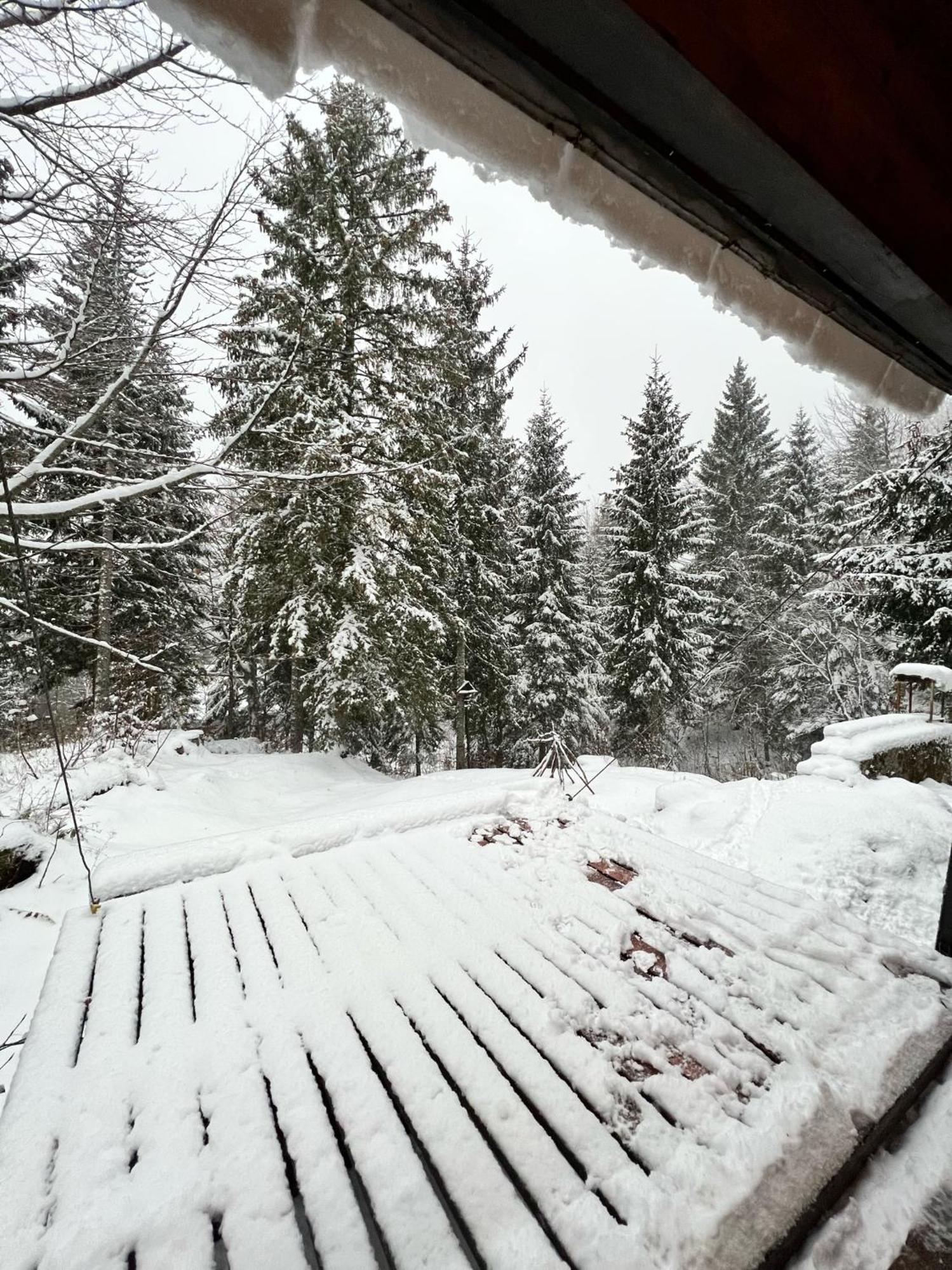 ~Chalet_Rifugio Tra I Boschi~ Sella Nevea Zewnętrze zdjęcie