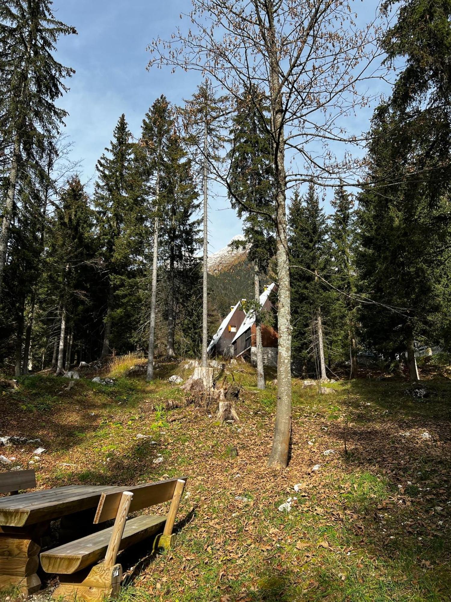 ~Chalet_Rifugio Tra I Boschi~ Sella Nevea Zewnętrze zdjęcie