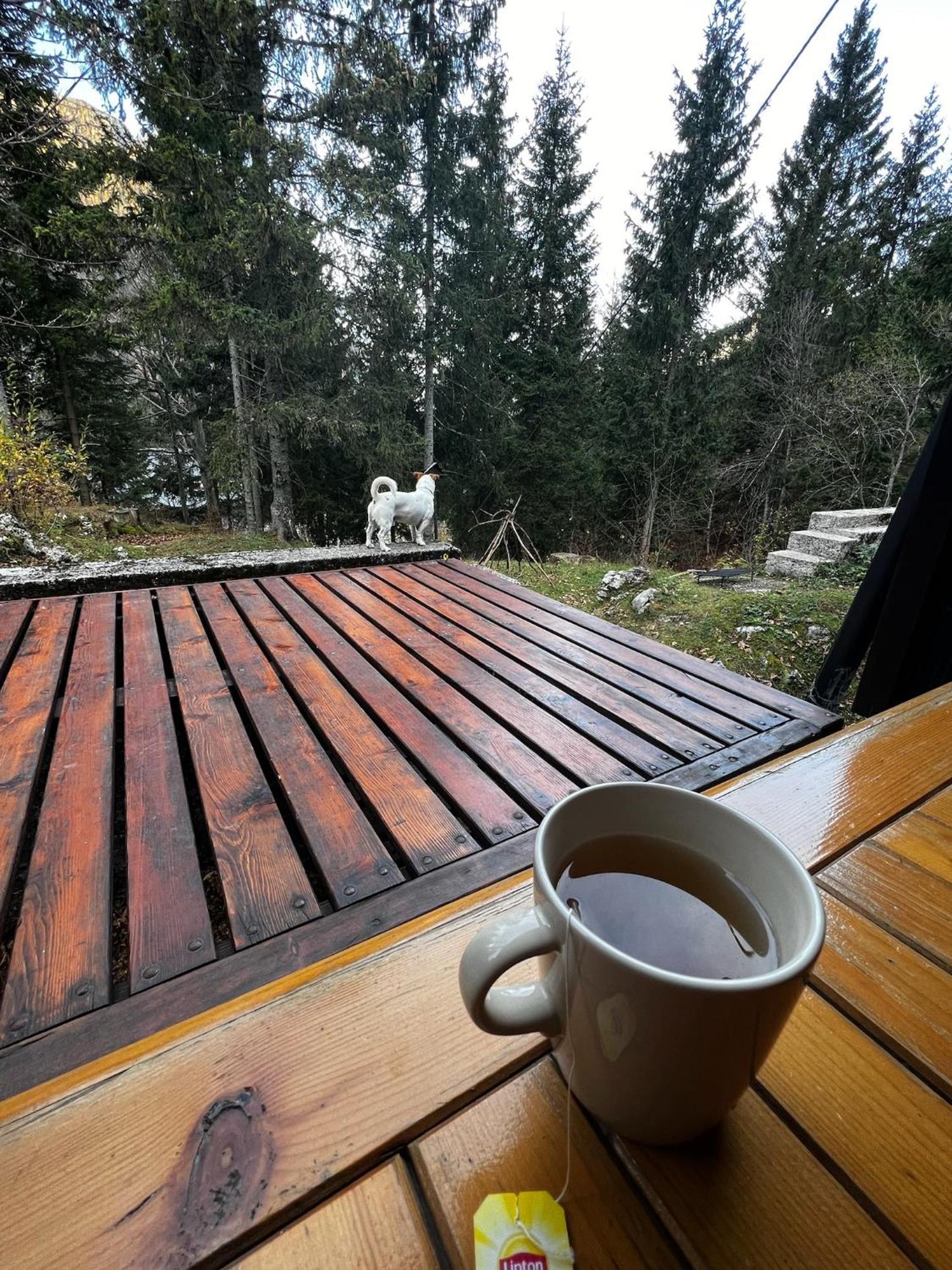 ~Chalet_Rifugio Tra I Boschi~ Sella Nevea Zewnętrze zdjęcie